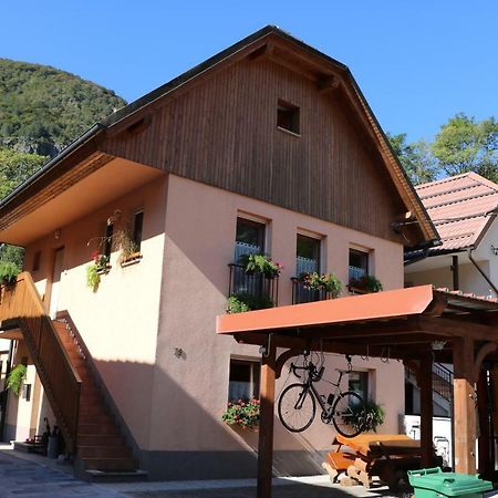 Apartma Na Vasi Appartamento Zaga Esterno foto