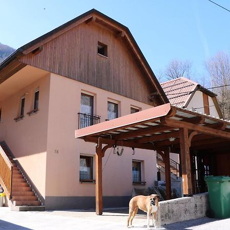 Apartma Na Vasi Appartamento Zaga Esterno foto