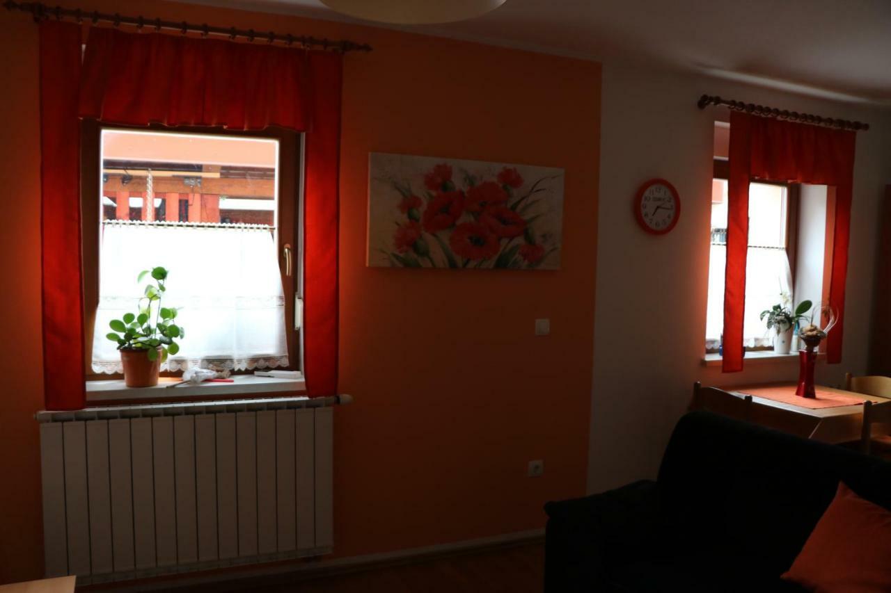 Apartma Na Vasi Appartamento Zaga Esterno foto