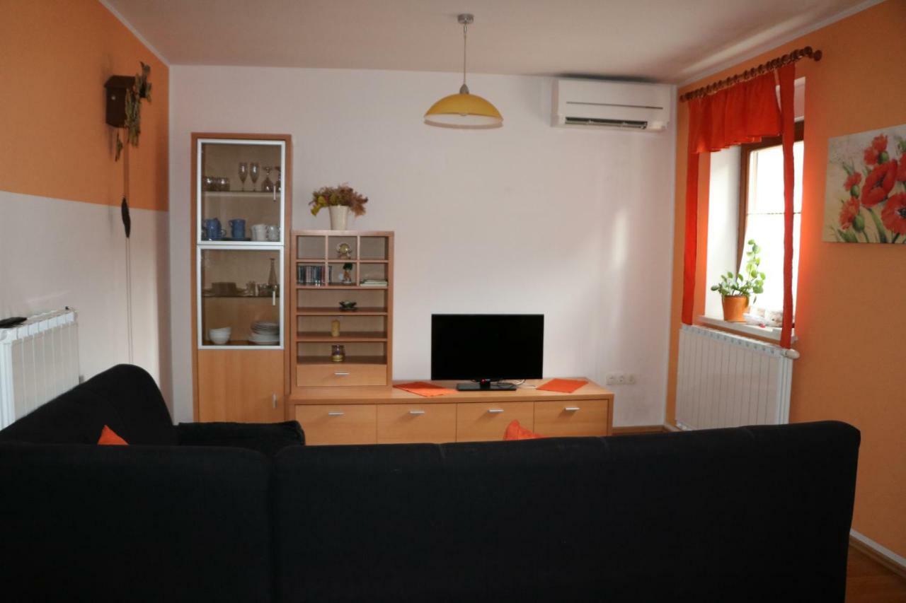 Apartma Na Vasi Appartamento Zaga Esterno foto